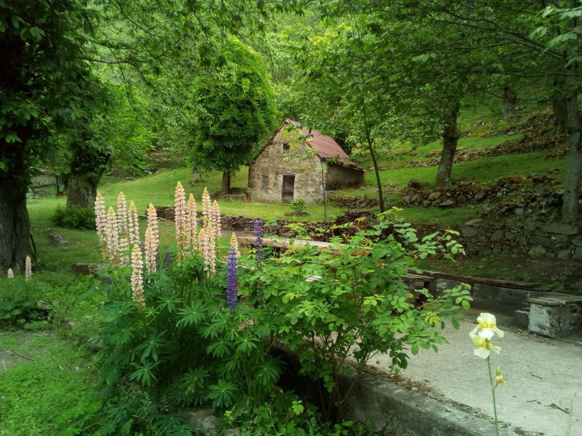 Casa Vacanze Le Muse Sillico Pieve Fosciana Екстериор снимка