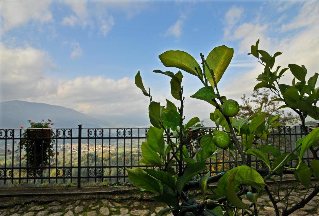 Casa Vacanze Le Muse Sillico Pieve Fosciana Екстериор снимка